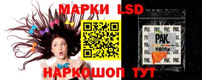 PSILOCYBIN Ярославль