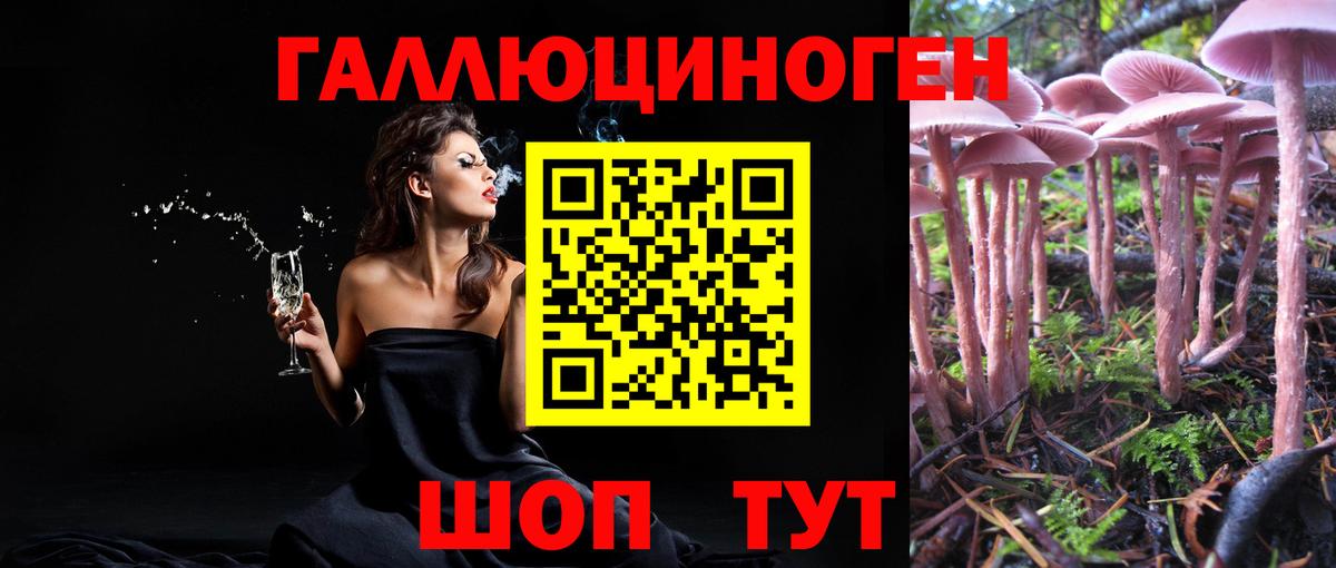 Крымск  Псилоцибиновые грибы Psilocybine cubensis  Вход с VPN 